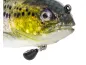 Preview: Westin Tommy The Trout - Switch Weight