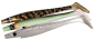 Preview: CWC Pig Shad Jr 20cm in verschiedenen Farben
