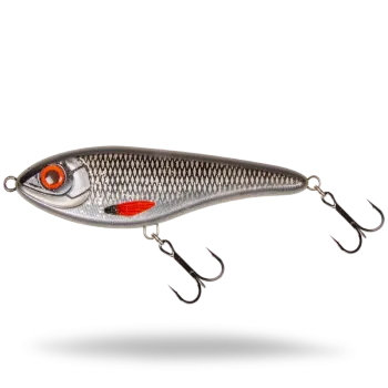 Buster Swim | Natural Roach