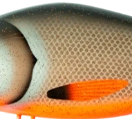 C051-Dirty Roach V2