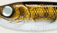 C075 Walleye