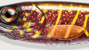 C083 Bloody Motoroil Pike