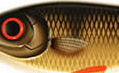 C382F-Golden Perch