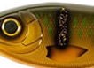 C753-Olive Perch UV
