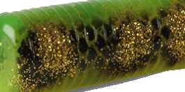 DT-008 Hot Spotted Bullhead