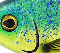 Mahi Mahi
