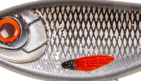 CWC047-Natural Roach