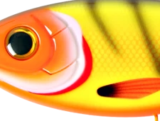 CWC036-Neon Tiger Tetra