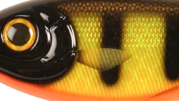 C504F-BlackOkoboji Perch