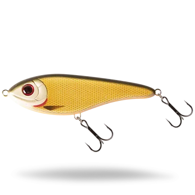 Buster Swim Jr | Dirty Roach